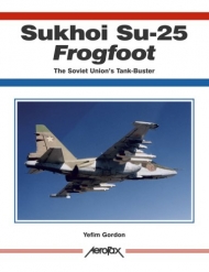 Sukhoi Su-25 Frogfoot: The Soviet Union's Tank-Buster